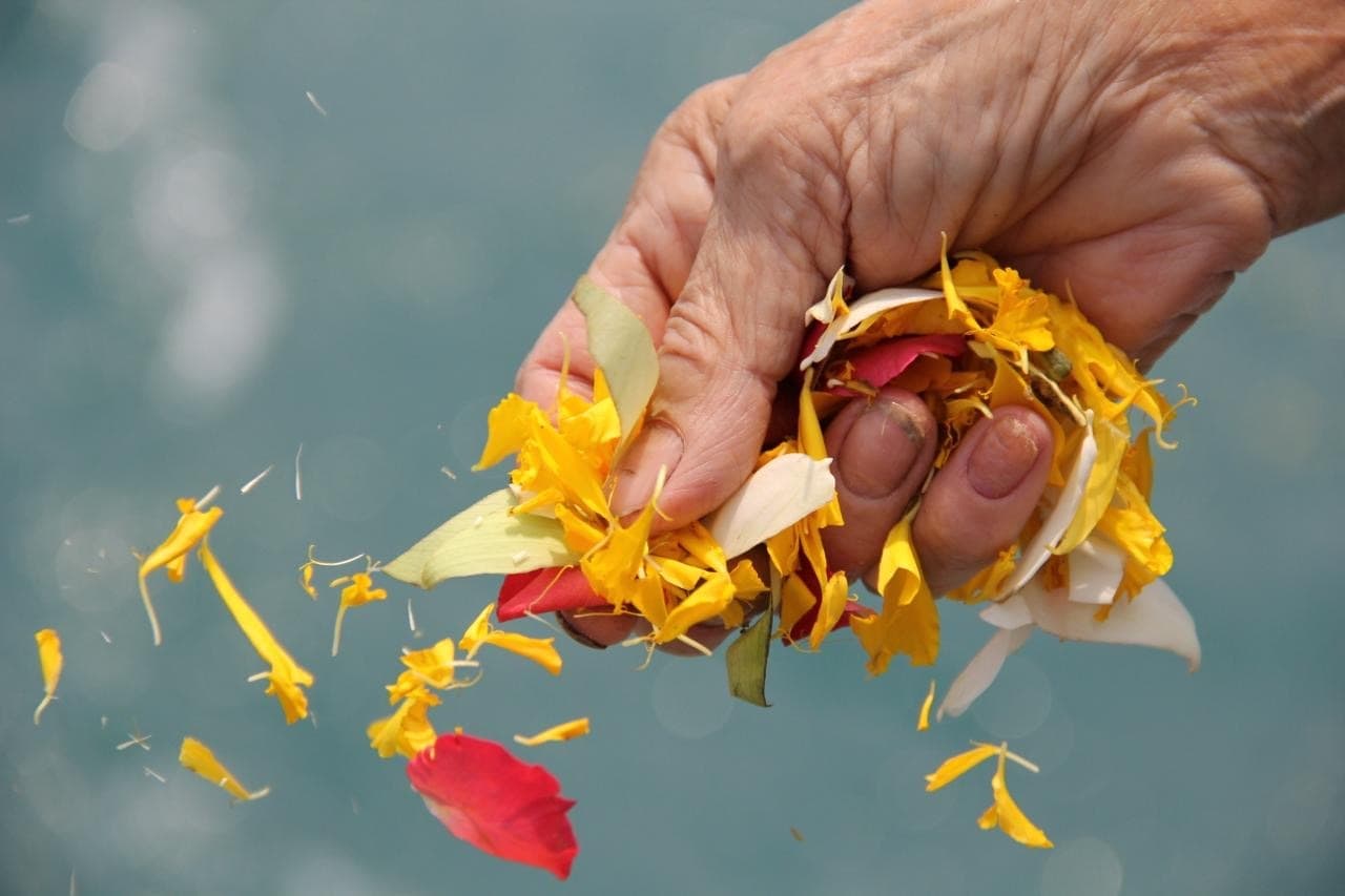 Peaceful flower offering on the Thames, perfect for boat party occasions and celebrations.